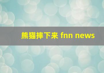 熊猫摔下来 fnn news